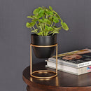 Petite Table Planter - Black