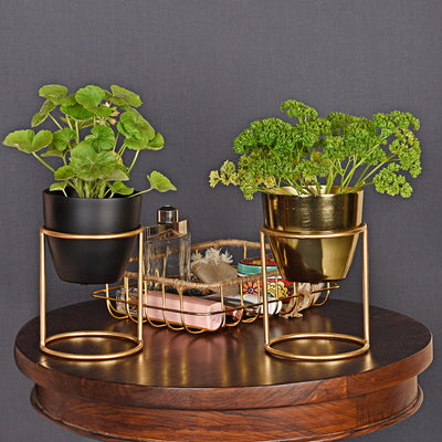 Petite Table Planter (Set of 2) - Black & Gold