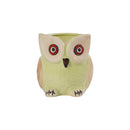 Owl Ceramic Planter - Big